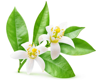 Neroli