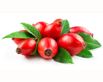 Rosehip